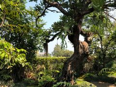 -Chom Cafe and Restaurant