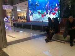 -远洋未来广场(育慧北路店)