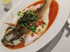 清蒸钱塘江鲻鱼-西湖春天•老字号杭州菜(百汇店)