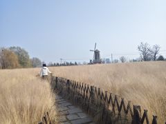 -羊亭河湿地公园