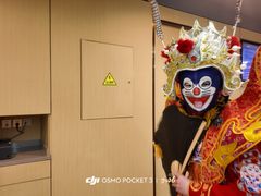-海底捞火锅(让胡路万达店)