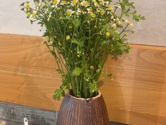 -囿面传统制面馆(中央路店)