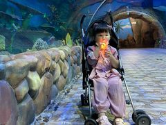 -华夏文旅海洋公园