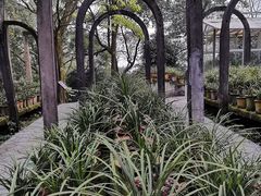 -南山植物园