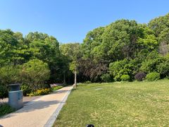 -昆山城市生态森林公园