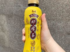 -上海国际音乐村