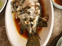 清蒸鳜鱼-状元楼(金溪路店)