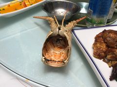 -青岛颐海花园酒店总店·自助餐厅