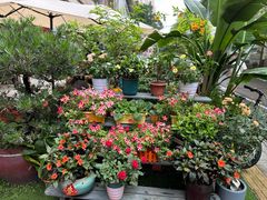 -山水茶艺馆·点心粤菜·30年老字号