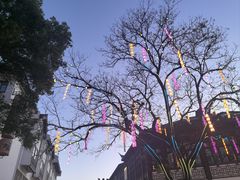 -小厨娘金榜题名(夫子庙秦淮河店)