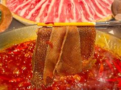 -小龙坎火锅(全球旗舰店)