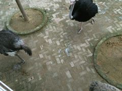 -武汉紫薇都市田园