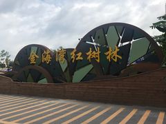 -北海金海湾红树林生态旅游区