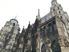 -斯蒂芬主教座堂(Stephansdom)