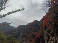 -秦岭终南山世界地质公园翠华山景区