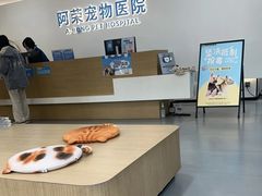 -阿荣24H宠物医院·综合型转诊中心·CT·核磁影像中心