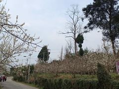 -樱桃山旅游景区