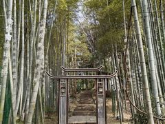 -杭州黄龙洞