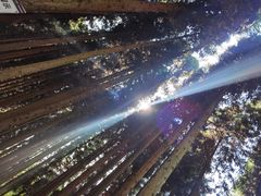 -武陵山森林公园