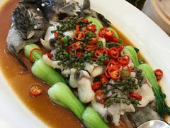 -潮福城大酒楼(二环东路店)