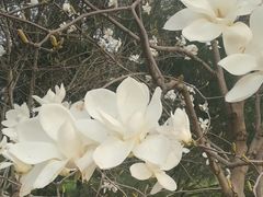 -玲珑塔公园