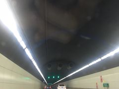 -胶州湾海底隧道