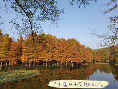 -百年尹氏汤包(湖南路狮子桥店)