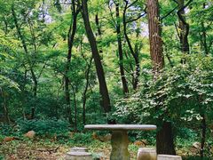 -金龙寺国家森林公园