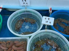 -丽华家常菜(北马路店)