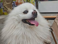 -鹏欣水游城