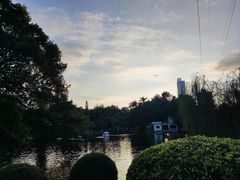 -晓港公园