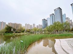 -木塔寺遗址生态公园