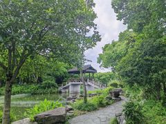 -西溪国家湿地公园