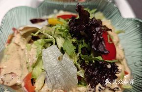 Vegetable Mixed Salad