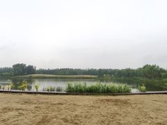 -东郊湿地公园