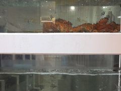 -隆聚·时令海鲜(洪兴店)
