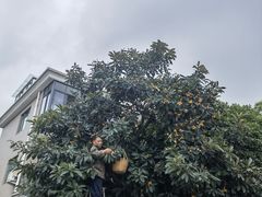 -侘山民宿(杭州西湖龙坞店)