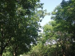 -同里国家湿地公园