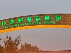 -北京野生动物园