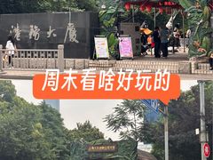 -上海大自然野生昆虫馆(东方明珠·爬宠昆虫探索中心)