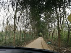 -白鹭湾湿地公园