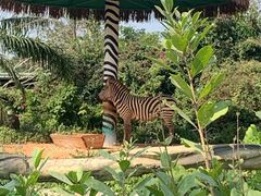 -海南热带野生动植物园