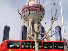 -新天世纪中餐厅