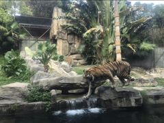 -深圳野生动物园