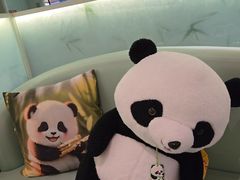 -眉州东坡·熊猫主题餐厅(枫蓝店)