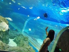 -锦艺城海洋馆