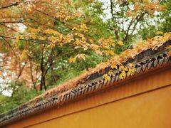-西园戒幢律寺