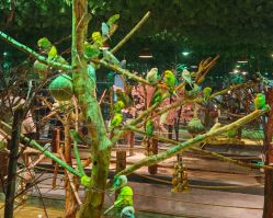 -酷嗒动物文化乐园(cutezoo西溪乐天城店)