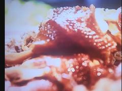 -福成厚江鱼壹号黑金冠好店(群力店)