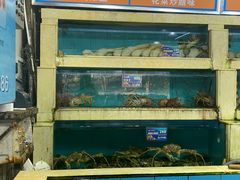 水产区-旺富东海大酒楼(海鲜街店)